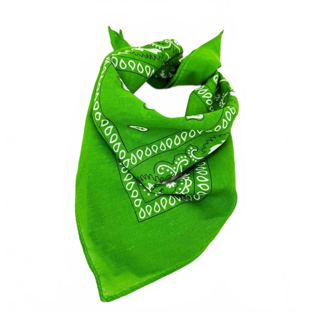 NEW LOVE AND REPEAT unisex paisley pattern bandana in kelly green